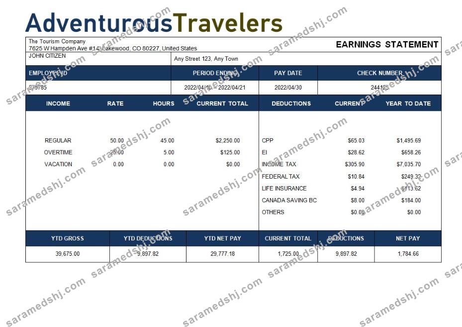 tourism company paystub template in Word and PDF formats